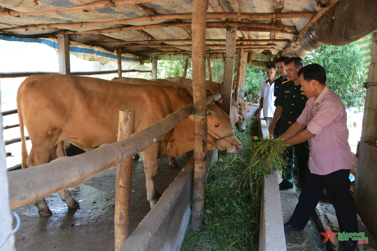 Hiệu quả từ một mô hình
